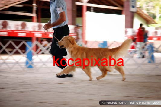 Clique sobre a foto para fechar